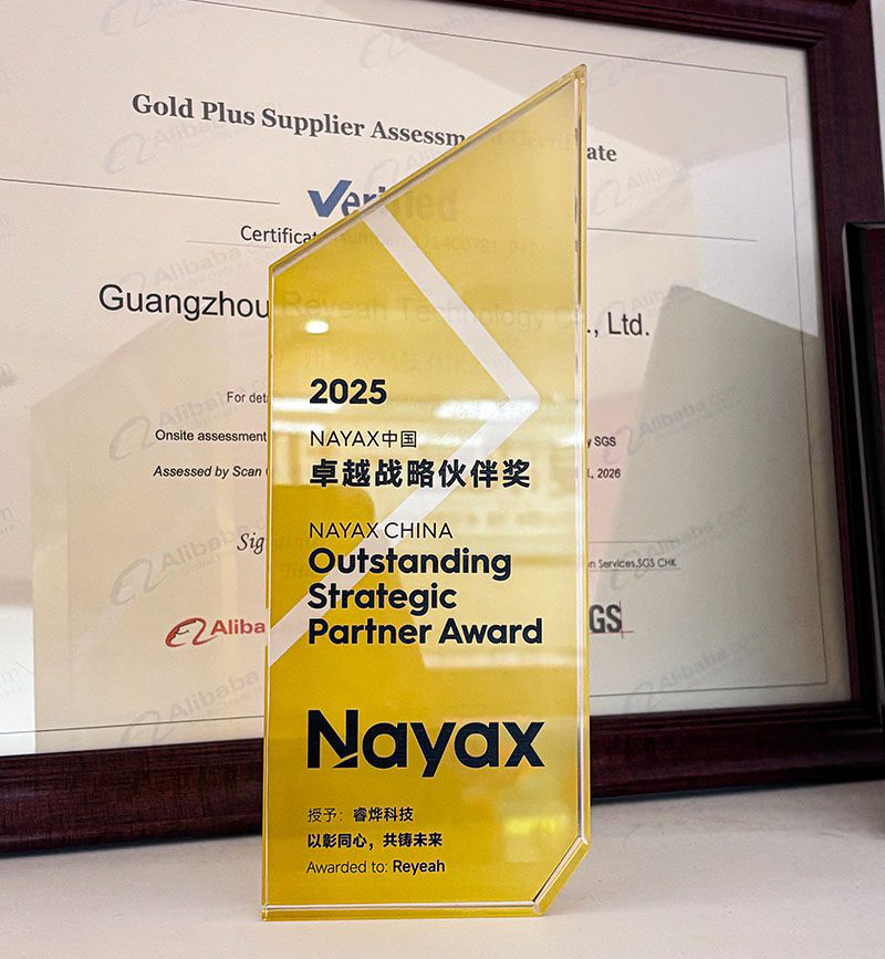 2025年度杰出战略合作伙伴奖